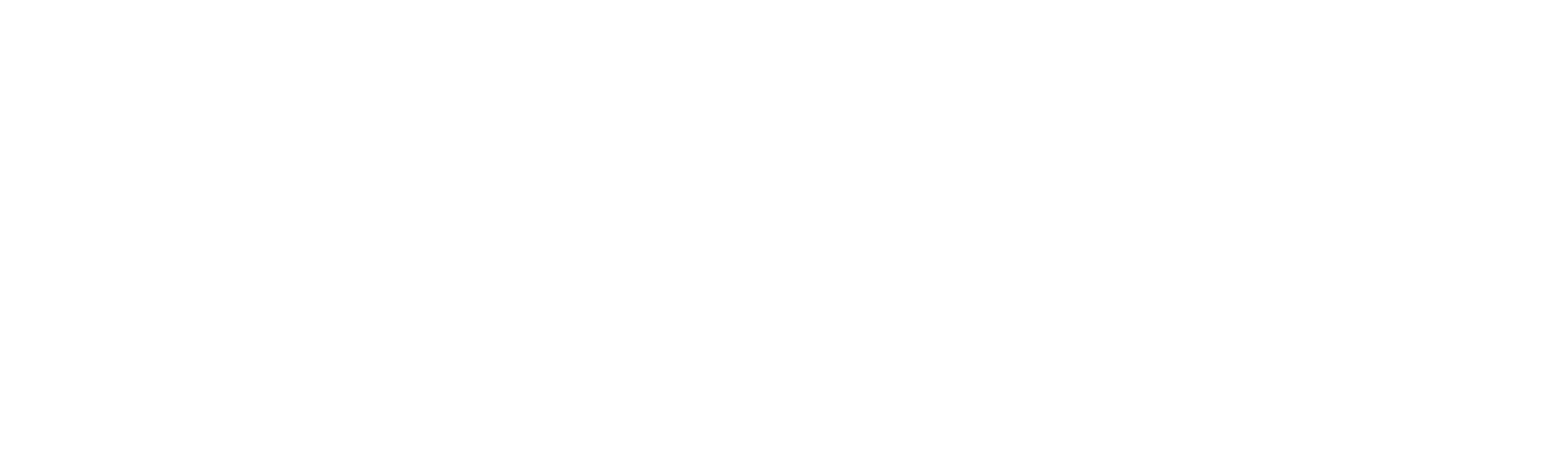 Fluent Logo